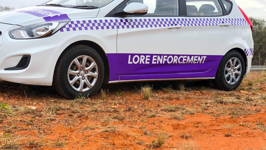 An echidna on red dirt with a lore enforcement labelled car in the background.