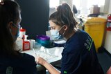 Nurses at a COVID-19 vaccination clinic, Moonah, Tasmania, 29 June, 2021
