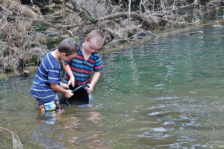 Two boys with a bucket in a stream