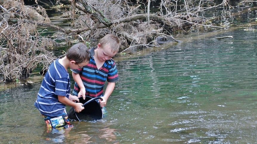 Two boys with a bucket in a stream