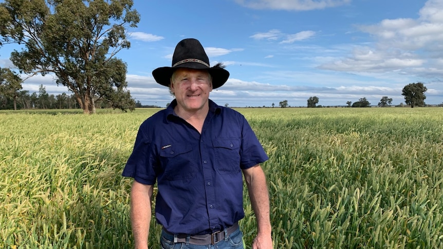 Farmer Rick Bennett, wearing a blue shirt and wide-brimmed hat, stands in a green field.