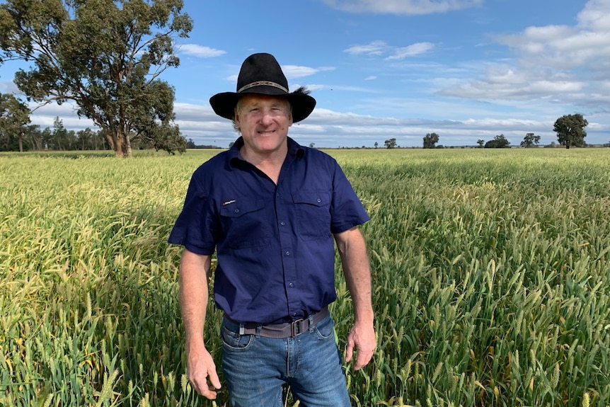 Farmer Rick Bennett, wearing a blue shirt and wide-brimmed hat, stands in a green field.