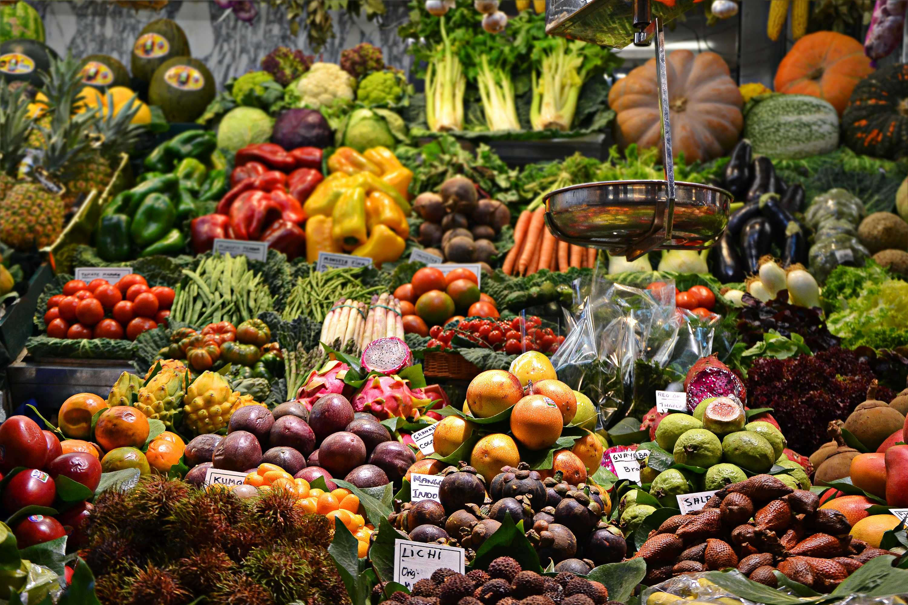 Breast density and MRIs, diet and mental health, genomics and osteoarthritis