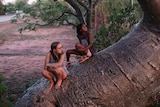 Two Indigenous girls sit on the trunk of a large tree.