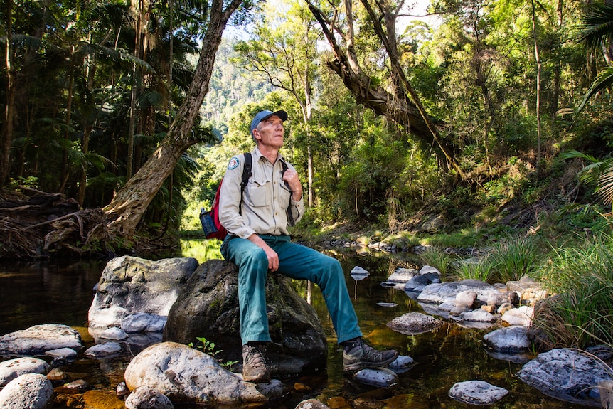 Man sitting on rock in rainforest river.