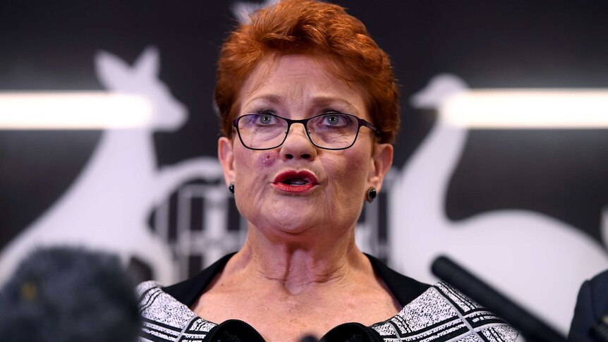 Pauline Hanson looks out to crowd and purses her lips while speaking into microphones.
