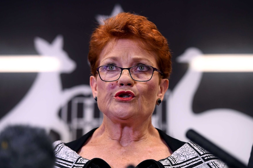 Pauline Hanson looks out to crowd and purses her lips while speaking into microphones.