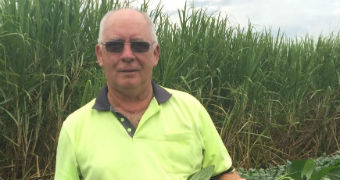 Sugar cane farmer Robert Quirk stands in cane field