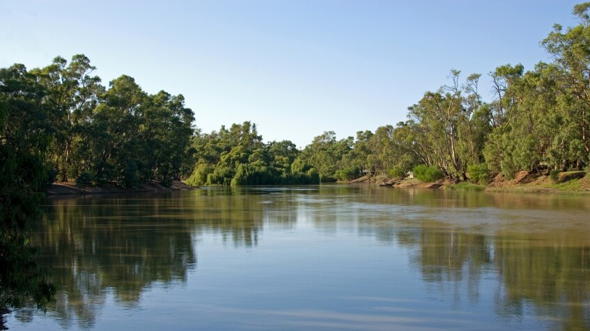 Murray River near Swan Hill