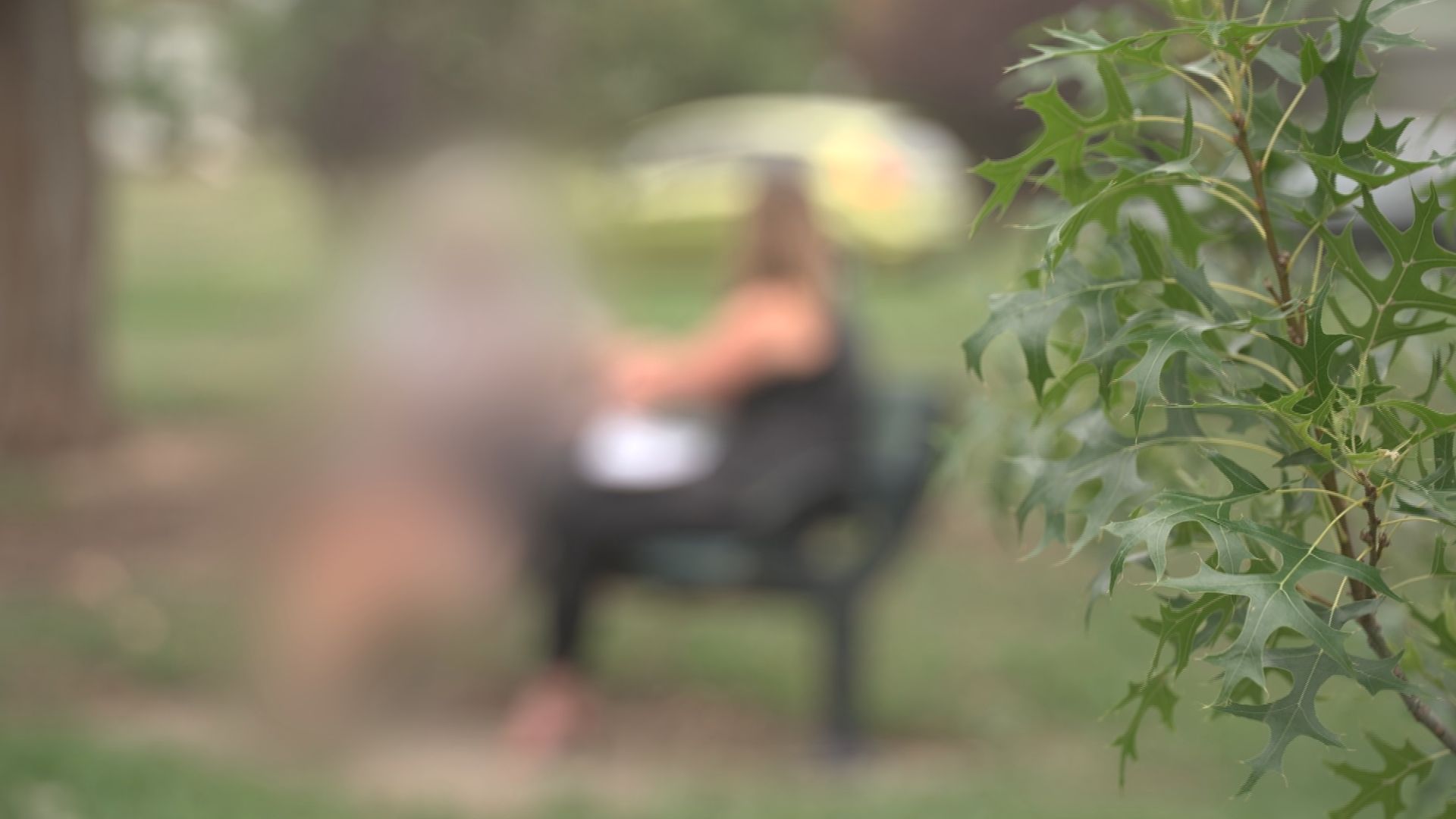 blurry shot of a man and woman sitting on a park bench