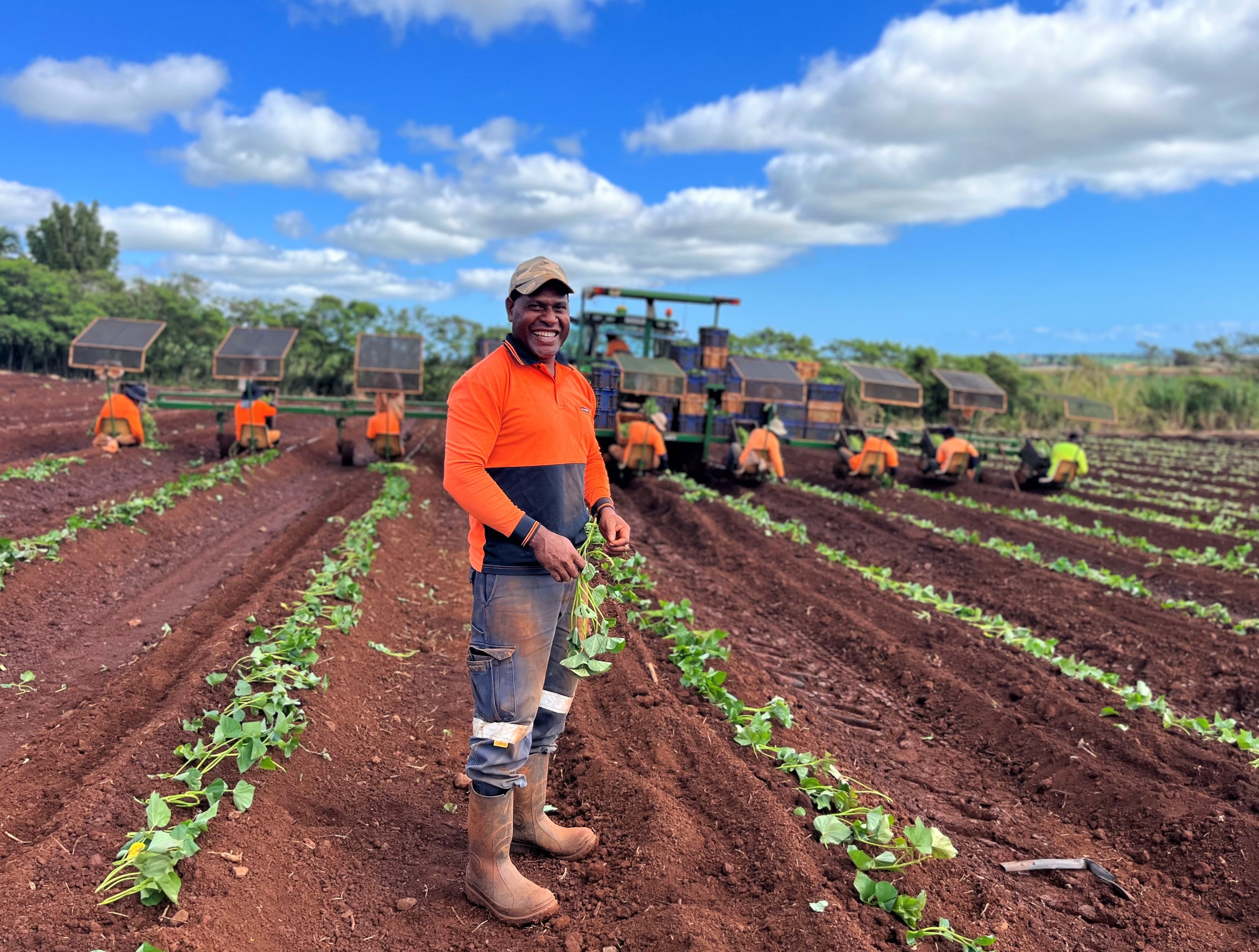 Calls for more Pacificled services for Pacific Australia Labour