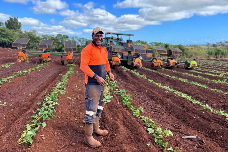 A ni-Vanuatu man in his 40s, wearing high-vis, standing in a field, while a row of workers plant sweet potatoes behind him.