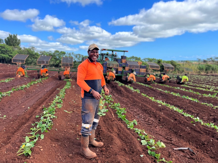 A ni-Vanuatu man in his 40s, wearing high-vis, standing in a field, while a row of workers plant sweet potatoes behind him.