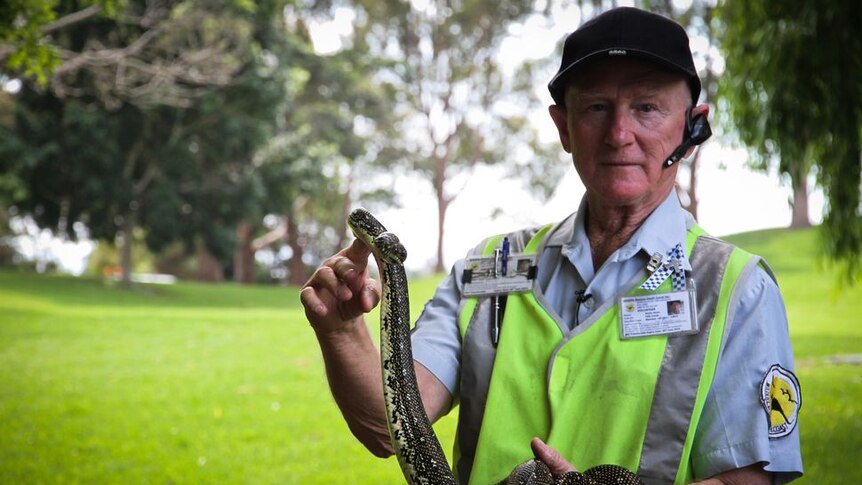 Dusty the snake catcher stands in a park holding a snake.