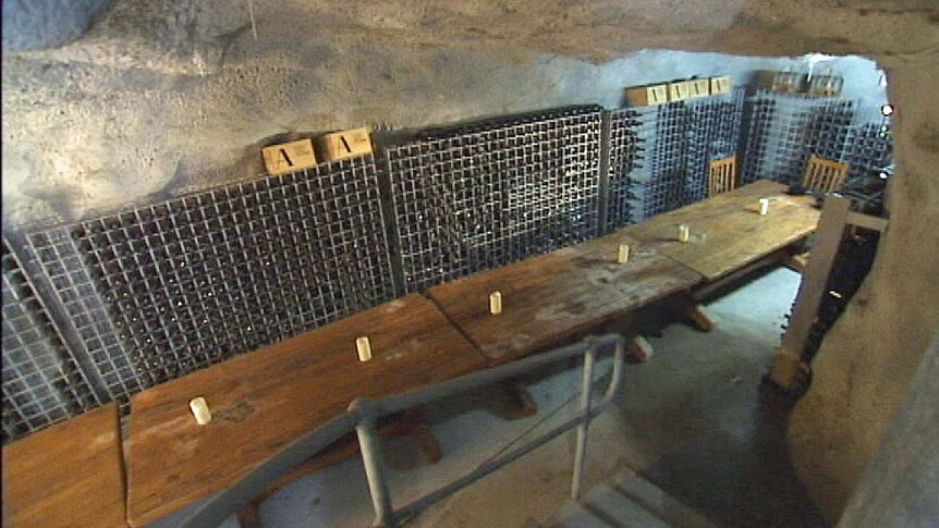 A cellar containing 4,000 bottles of wine is part of a property for sale in Tasmania.