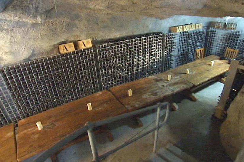 A cellar containing 4,000 bottles of wine is part of a property for sale in Tasmania.