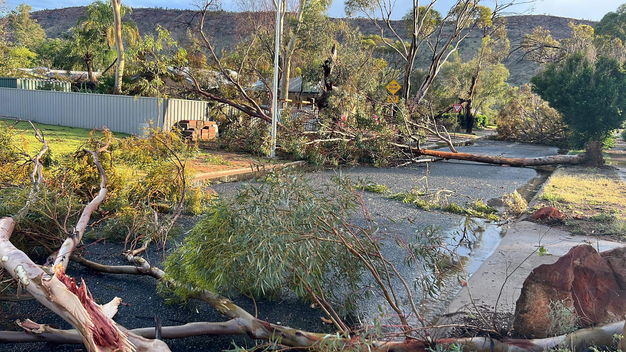 Large trees pulled out of the ground and over the road. 