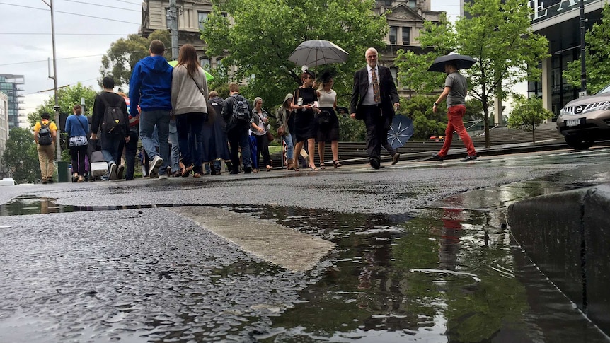 Puddles and Derby day racegoers