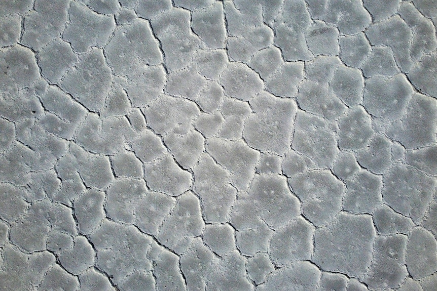 Aerial of salt flats with patterns made from cracks
