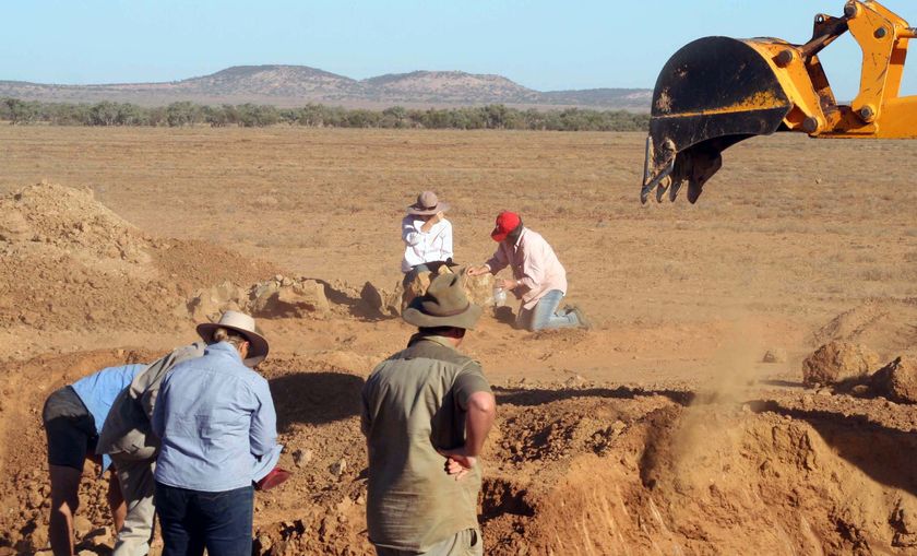 Outback's 'Zac' could be new dinosaur - ABC News
