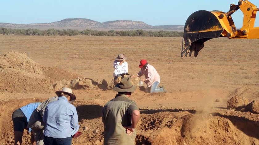 Palaeontologists and Qld Museum volunteers digging at Eromanga.