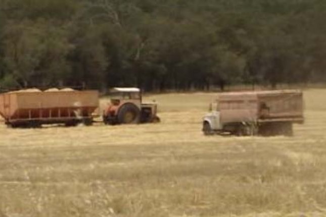 Nationals leader Brendon Grylls says more farmers are opting to transport their wheat by road.