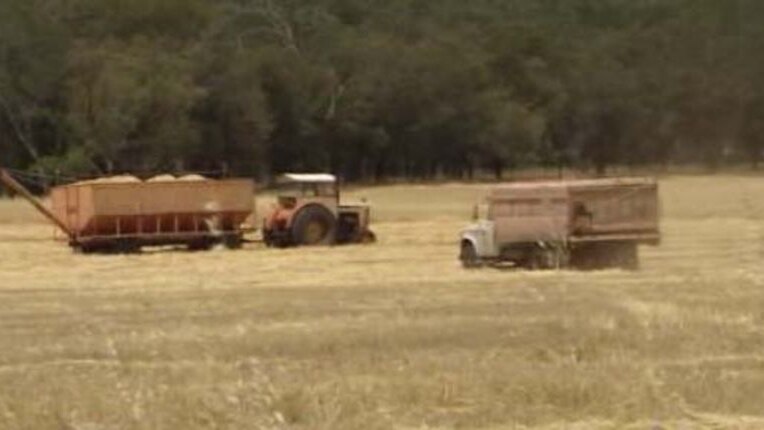 Wheat being harvested