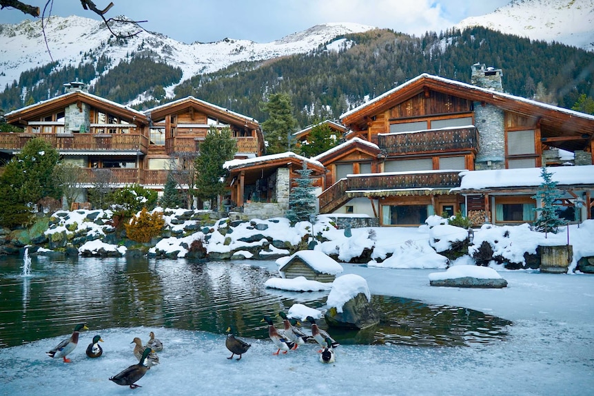 A partly frozen lake with ducks in it in front of a row of snowy ski chalets