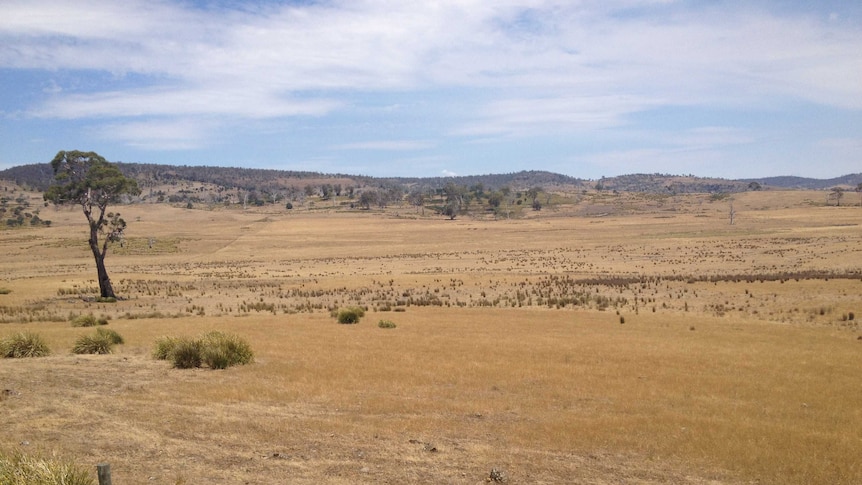 Dry farmland Central Highlands Tasmania