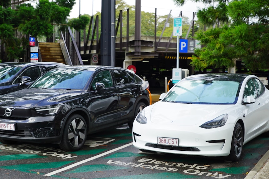 A Tesla parked next to a dark Volvo SUV near a green space.