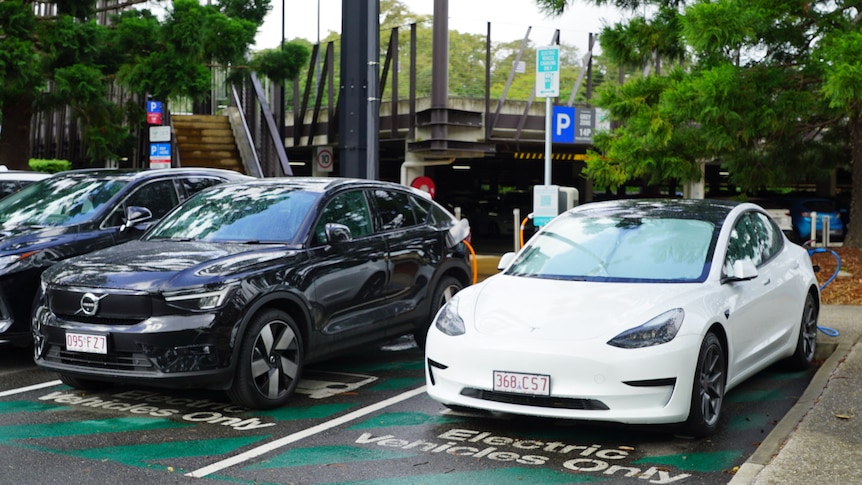 A Tesla parked next to a dark Volvo SUV near a green space.