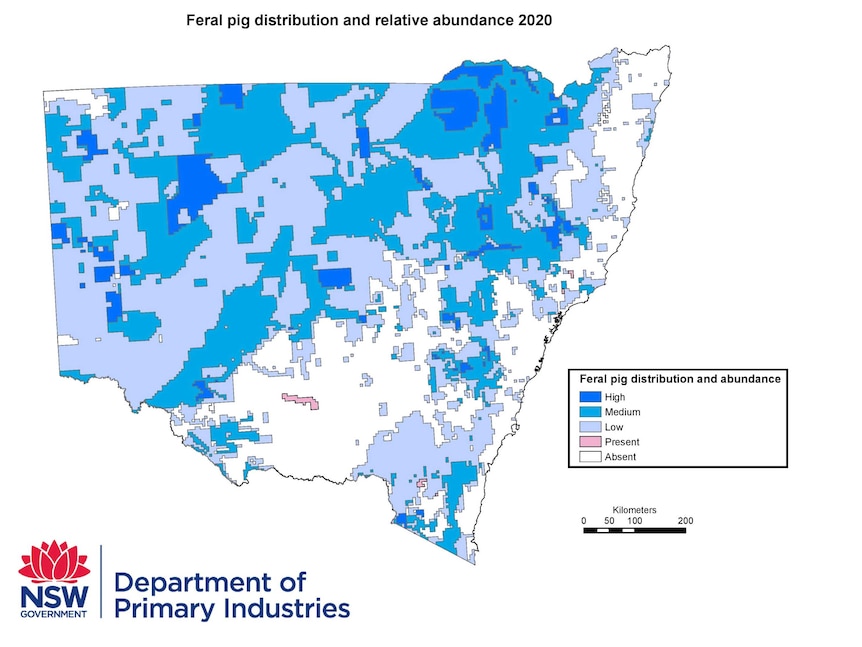 A map of New South Wales highlighting areas in blue where feral pig number are high.