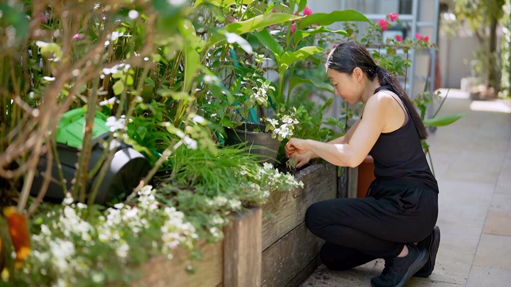 Hiromi Tango tending to plants in a raised bed in her garden.