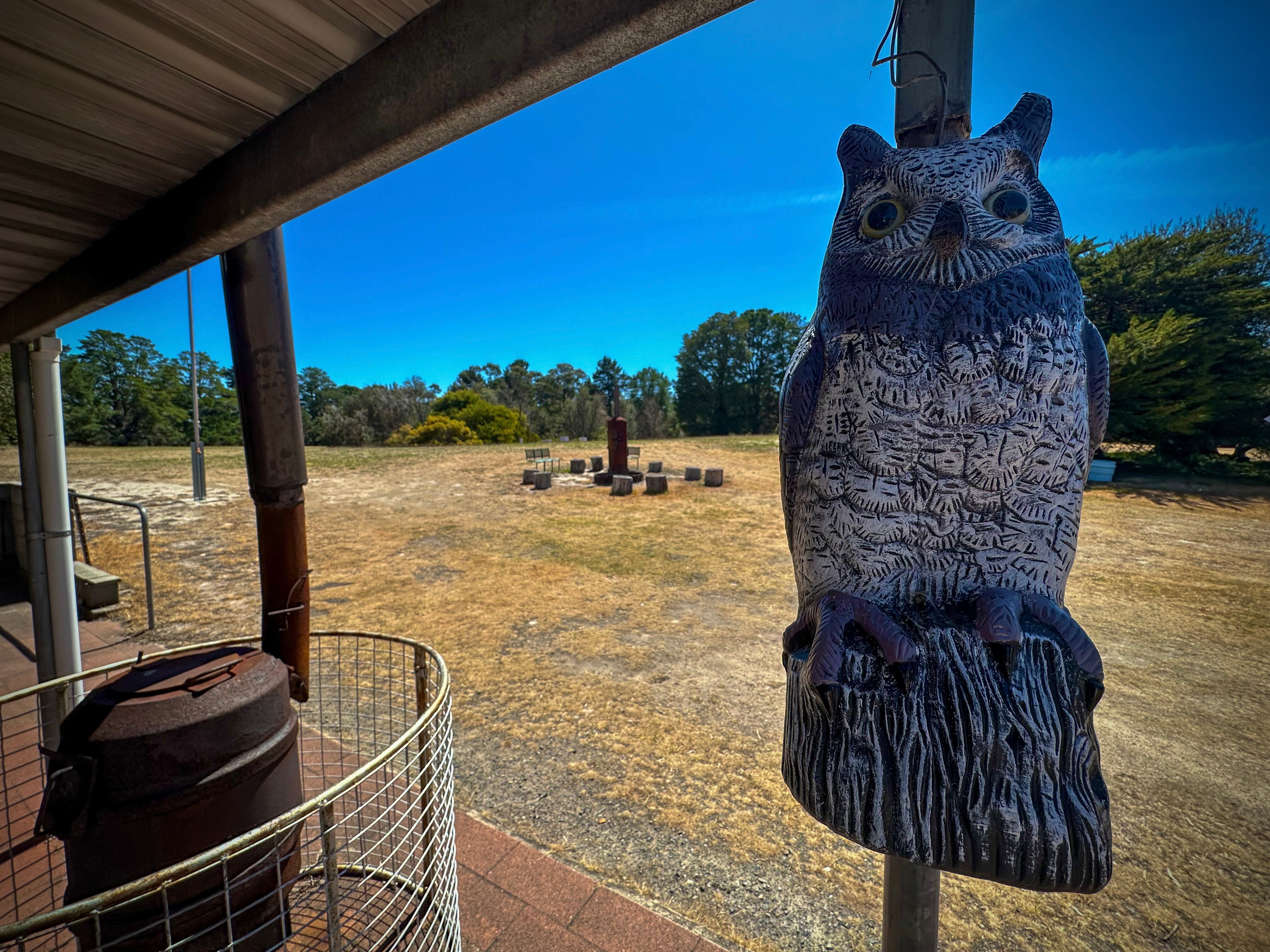 Background: metal fire drum with several chairs in the middle of a grass area. Foreground: metal owl art hanging