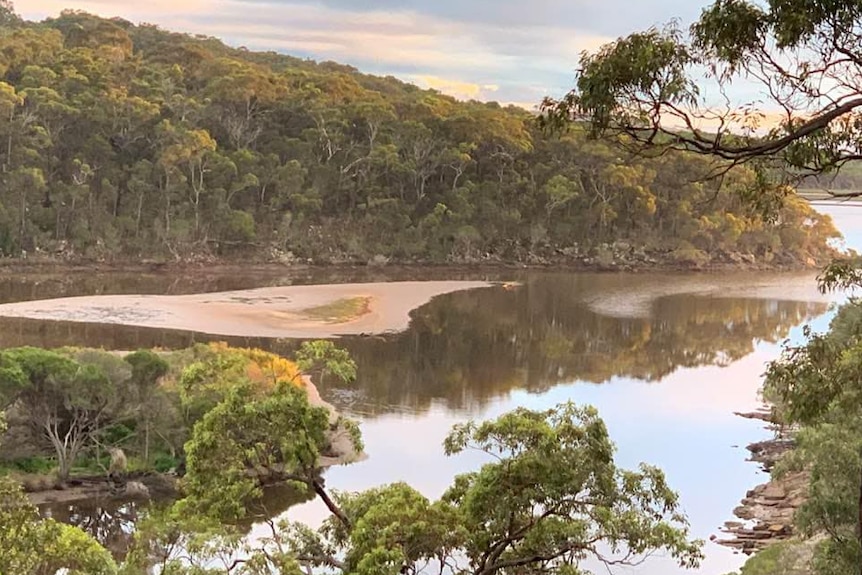 Bushland surrounding a lagoon under a pale blue sky with a bit of clouds in the horizon.