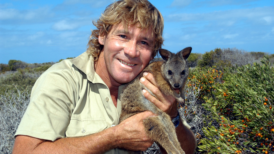 Steve Irwin with a wallaby. Date unknown.