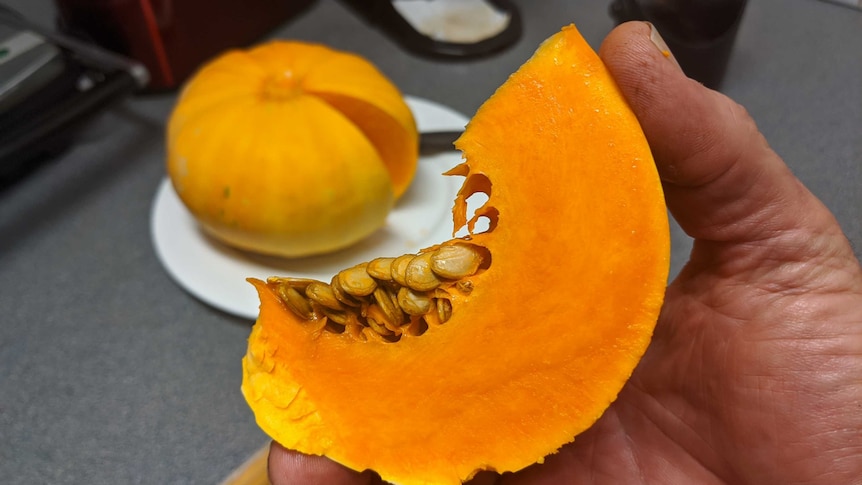 Cut slice of bright orange pumpkin in the foreground, the rest of the orange pumpkin on a plate in the background