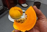 Cut slice of bright orange pumpkin in the foreground, the rest of the orange pumpkin on a plate in the background