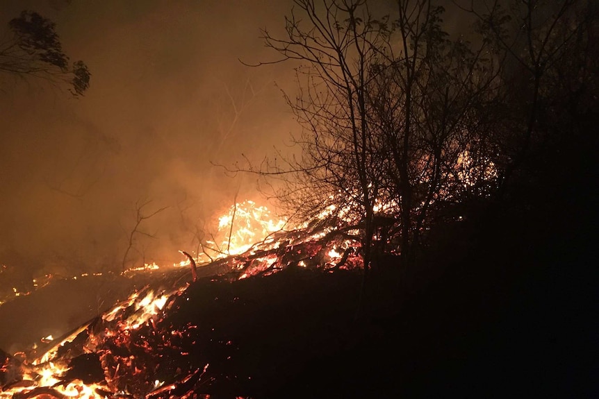 A night shot shows the glowning flames and embers in bush near Cobraball, Yeppoon