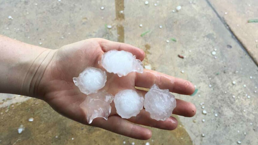 Five large pieces of hail in a person's hand.