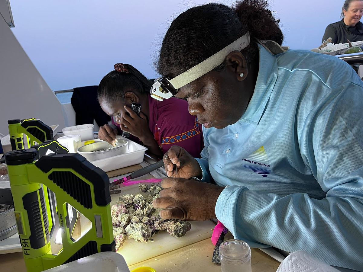 Reef research project explores edges of Australia, with traditional ...