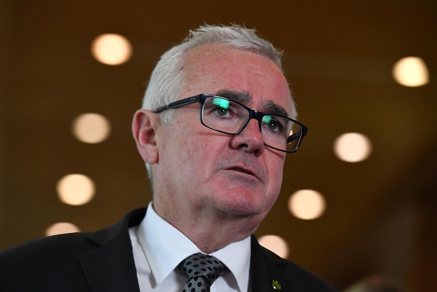 White-haired Andrew Wilkie wearing glasses speaks at a press conference.