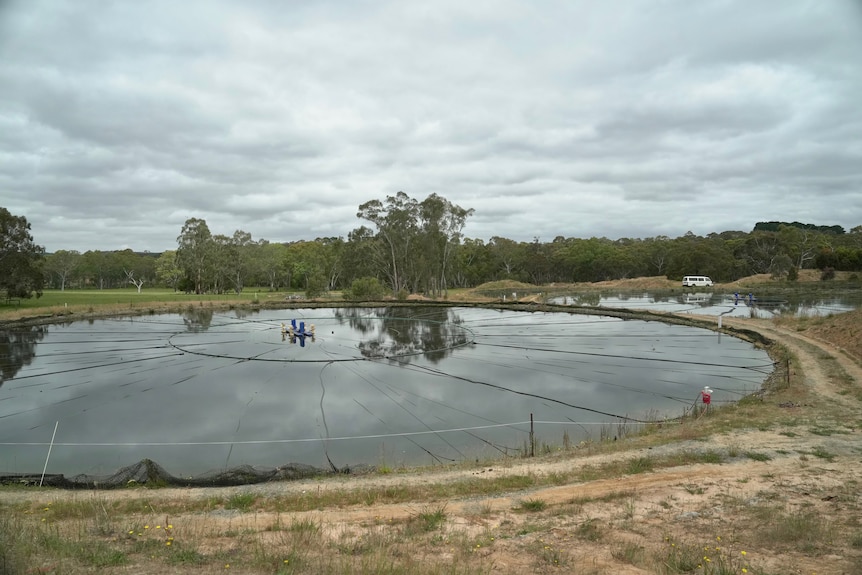 Two large man-made freshwater ponds