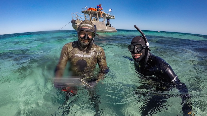 Le troisième événement rare consécutif de La Nina pourrait entraîner davantage de blanchissement des coraux le long du récif Ningaloo de WA, selon les scientifiques