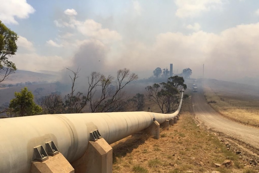 SA fire burns in Moculta area