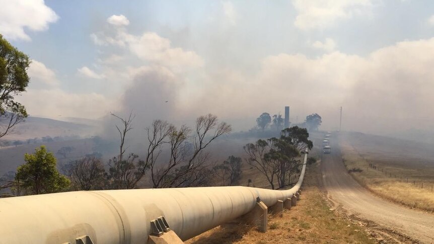 SA fire burns in Moculta area