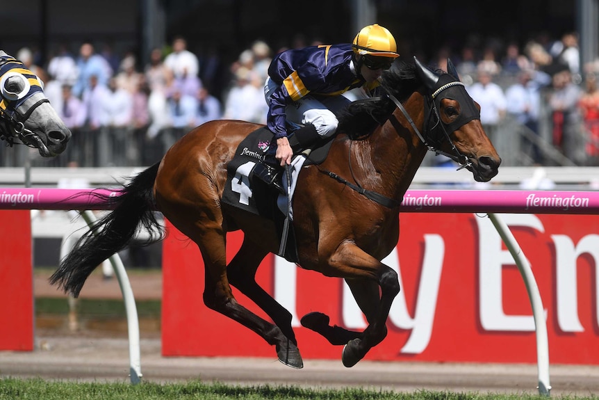 Patrick Moloney guides Vengeur Masque to his Queen Elizabeth Stakes win.