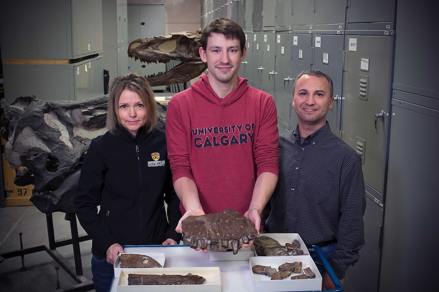 A woman and two men display dinosaur fossils in a lab.