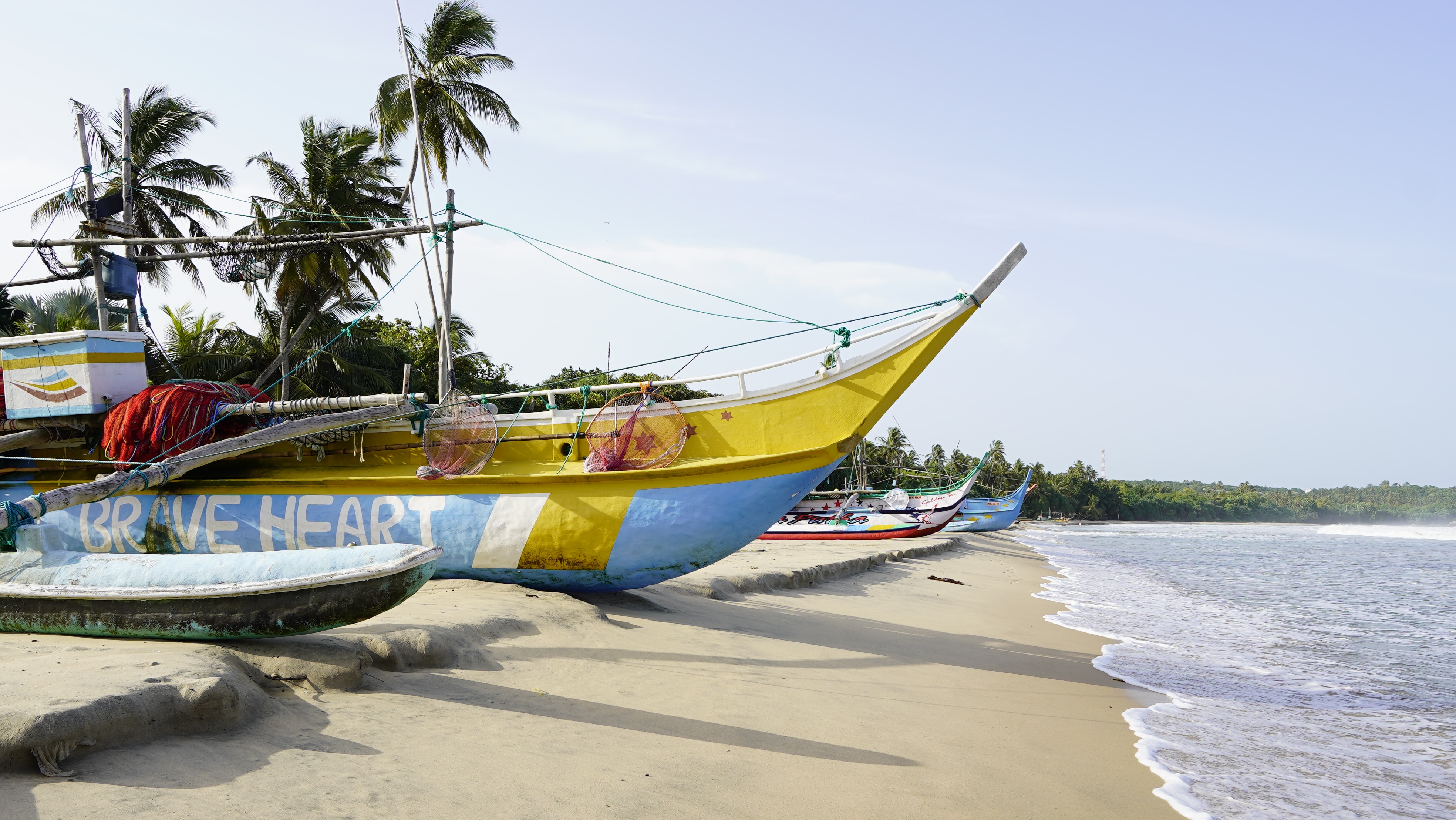 Sea Shells by the Sri Lankan Shores