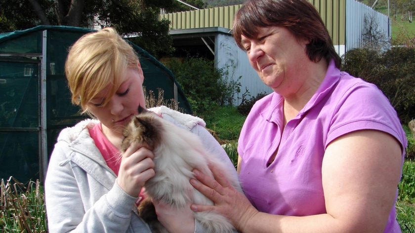 Back home: Clyde the cat is reunited with his family this morning